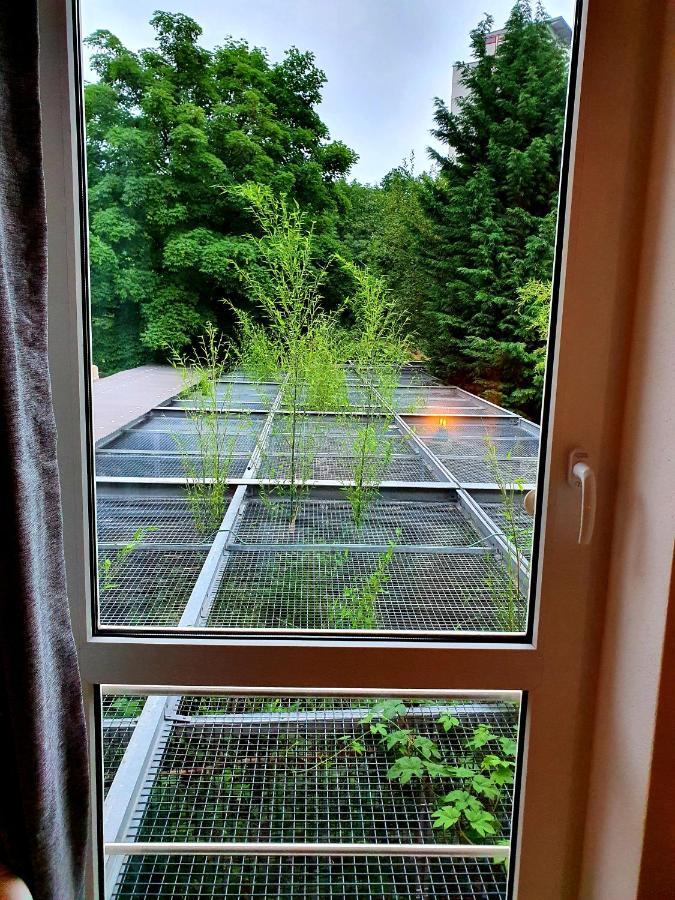 Papageiennest Leilighet Dresden Eksteriør bilde